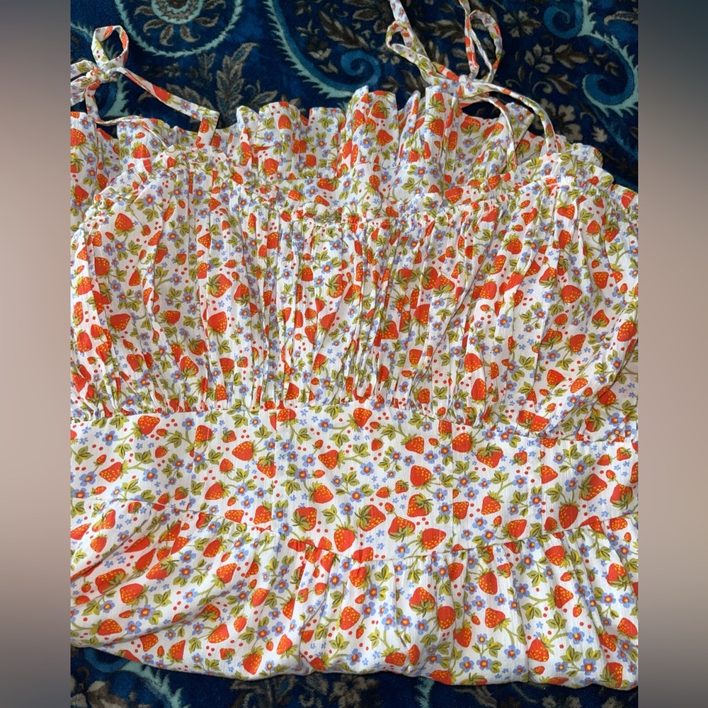 Aerie Strawberry Dress